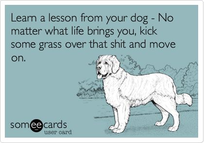 Learn a lesson from your dog - No matter what life brings you, kick some grass over that shit and move on. E Cards, E Mc2, E Card, Ecards Funny, Someecards, Move On, What Is Life About, A Sign, Bones Funny