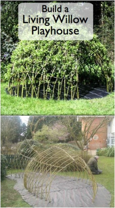 Living Willow Playhouse Twig Birdhouse Diy, Willow Archway, Willow Arbor, Willow Playhouse, Willow Projects, Twigs Diy, Garden Diy Furniture, Land Ideas, Twig Furniture