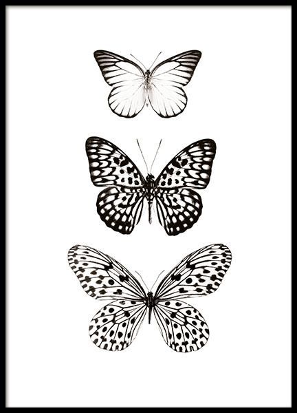 Desenio Posters, Hirsch Silhouette, Three Butterflies, Art Papillon, Kids World Map, Butterfly Poster, Animal Illustrations, Butterfly Drawing, Online Posters