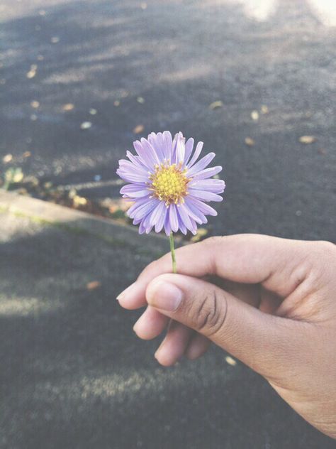 Flower child Avatar Facebook, Picking Flowers, Plants Are Friends, Tumblr Pics, Tumblr Photography, Fotografi Potret, Flower Child, Plant Life, Perfume Bottle