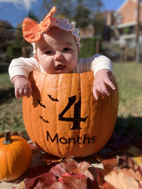 4 Month October Pictures, 4 Months Fall Pictures, 6 Month Old Pumpkin Pictures, 4 Month Old Baby Photoshoot Fall, Fall Photos 4 Month Old, 5 Month Old Halloween Photoshoot, 4 Month Old Fall Pictures, September 3 Month Baby Pictures, 4 Month Old Halloween Pictures