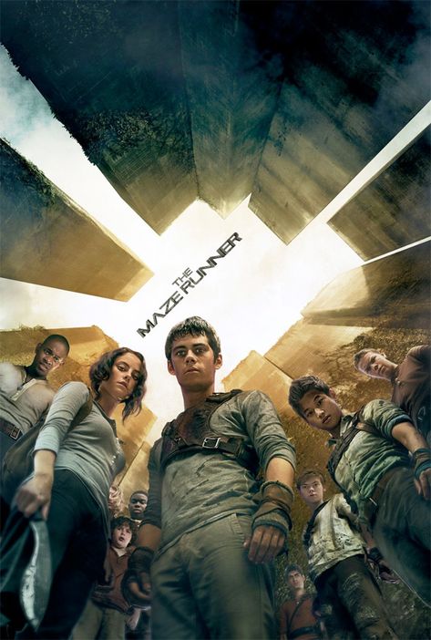 Maze Runner 1, Maze Runer, Maze Runner Thomas, Will Poulter, Maze Runner Trilogy, Maze Runner Funny, Maze Runner Cast, James Dashner, Maze Runner Movie