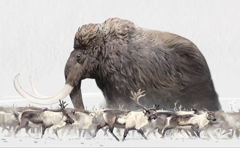 Prehistoric Wildlife Art, Prehistoric Wildlife, Prehistoric World, Wooly Mammoth, Ancient Animals, Prehistoric Art, Paleo Art, Extinct Animals, Dinosaur Art