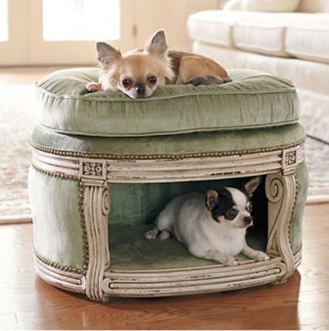 Here are some creative ideas you can try and have a perfect place for your pet to rest, and at the same time make it look stylish! #PetSpace Ottoman Dog Bed, Cele Mai Drăguțe Animale, Pet Spaces, Cool Dog Beds, Chihuahua Love, Dog Furniture, Dog Houses, Diy Stuffed Animals, Diy Dog Stuff