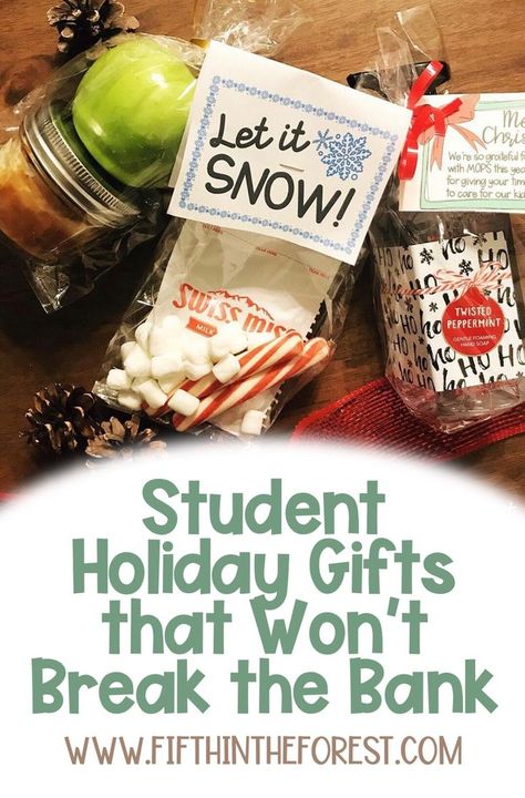 Blog post covering student holiday gifts that won't break the bank for ANY grade level. You will find FREE and CHEAP suggestions to make your preschool, elementary, middle, or high school students feels special. This is perfect for your classroom units around Christmas or in the winter season. Many of these can also be used for coworker gifts, neighbor gifts, friends, and family! Student Gifts Christmas From Teacher, Christmas For Students From Teacher, Holiday Student Gifts From Teacher, Cute Christmas Gift For Students, First Grade Class Christmas Gifts, Holiday Treats For Students, Holiday Gift Ideas For Students, Christmas Gifts For Upper Elementary Students, Gift To Students From Teacher Christmas