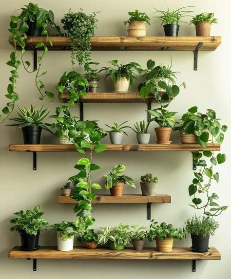 Cool Shelves Ideas, Indoor Plant Wall Shelves Living Room, Room Plants Aesthetic, Indoor Plants Wall Decor, Plant Wall Shelves, Home Plants Aesthetic, Plants On Shelf, Plants In Room, Plants For Room