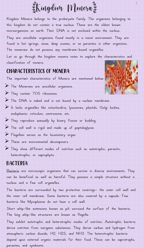 Kingdom Monera, Cell Biology Notes, Biological Classification, Biochemistry Notes, Neet Notes, Learn Biology, Chemistry Study Guide, Chemistry Basics, Biology Worksheet