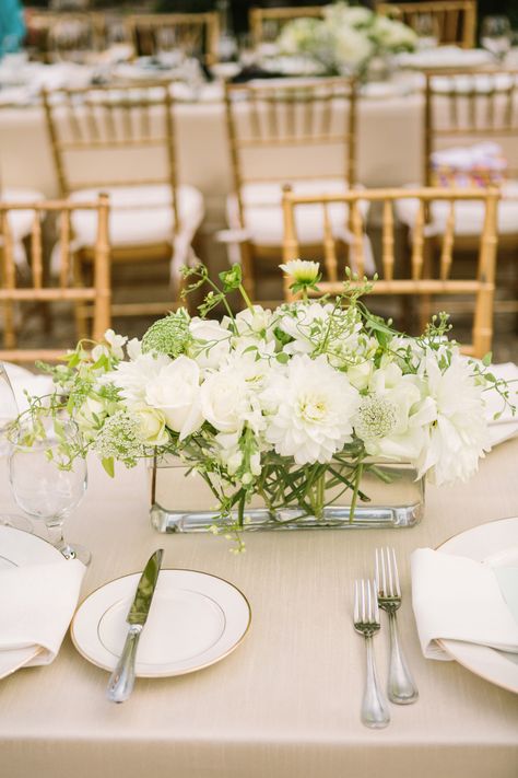 Simple. Dragonfly Floral.  Photography: Matt Edge Wedding Photography - mattedgeweddings.com  Read More: http://www.stylemepretty.com/2014/02/21/elegant-healdsburg-wedding-at-barndiva/ Healdsburg Wedding, Wine Country Wedding, Tent Wedding, Wedding Flower Arrangements, Park Weddings, Reception Decor, Reception Table, Simple Weddings, Reception Decorations