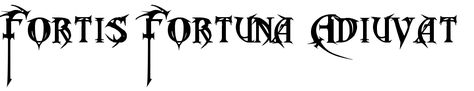 Fortis Fortuna Adiuvat Tattoo, Fortes Fortuna Adiuvat, Fortis Fortuna Adiuvat, Latin Tattoo, Tato Salib, Tattoo Fonts Generator, Savory Cakes, Tattoo Schrift, Fortune Favors The Bold