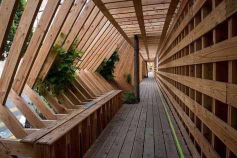 Gallery of Oscillation / Atelier Vecteur - 25 Wood In Architecture, Pergola Designs Architecture, Modern Wood Architecture, Pergola Architecture, Tunnel Installation, Front Walkway Landscaping, Bohemian Apartment Decor, Banaue, Timber Architecture