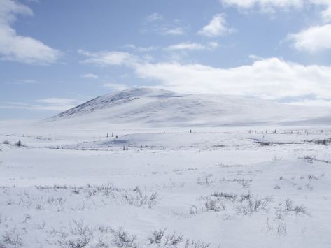 Hunger Games Arena, Arctic Tundra, Matte Painting, Dark Places, Avatar The Last Airbender, The Last Airbender, Fantasy Landscape, Aesthetic Pictures, New World