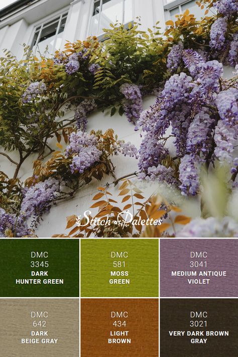 Lavender Green Orange Color Palette, Green Purple Brown Colour Palettes, Lavender And Emerald Green Color Palette, Olive Green And Purple Bedroom, Purple Fall Color Palette, Purple Green Brown Color Palette, Celtic Color Palette, Hunter Green Palette, Vineyard Color Palette