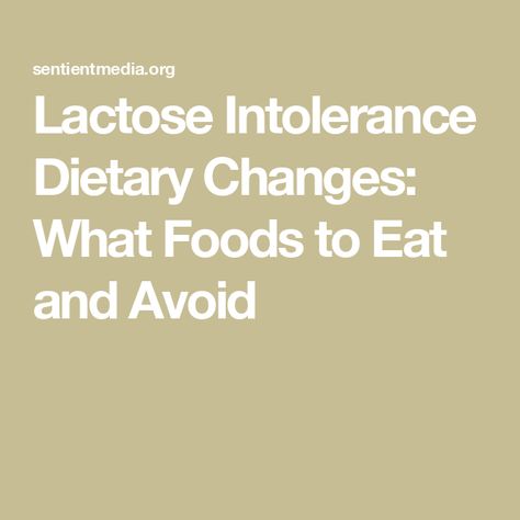 Lactose Intolerance Dietary Changes: What Foods to Eat and Avoid Lactose Intolerance Diet, Lactose Free Diet Plan, Lactose Intolerant Diet, Lactose Intolerant Recipes, Lactose Intolerant Symptoms, Free Diet Plans, Lactose Intolerance, Raw Broccoli, Milk Allergy