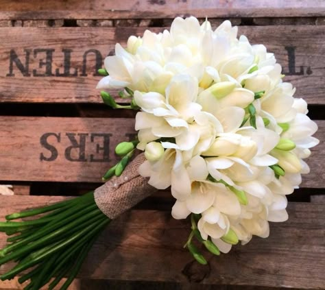 Wedding Bouquets Freesia, Bridal Bouquet Freesia, White Freesia Bouquet, Fresia Bouquet Wedding, Jasmine Wedding Bouquet, Freesias Bouquet, Freesia Wedding Bouquet, Bridal Bouquet Calla Lillies, Freesia Wedding