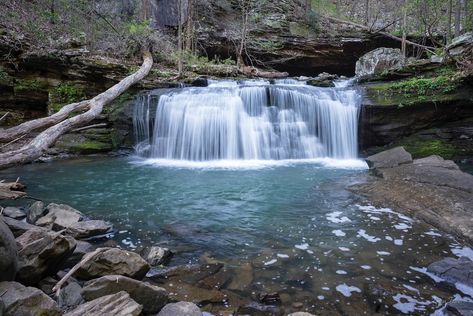 Last set from Cloudland Canyon…. What an enchanting place. • • • • • #liveoutdoors #landscapephotography #shotonsony #northgeorgia #exploretocreate #waterfallhike #keepitwild #wildernessculture Cloudland Canyon, Momento Mori, Waterfall Hikes, Mountain Sunset, North Georgia, Scenic Drive, Beach Scenes, Landscape Photography, Wild Flowers