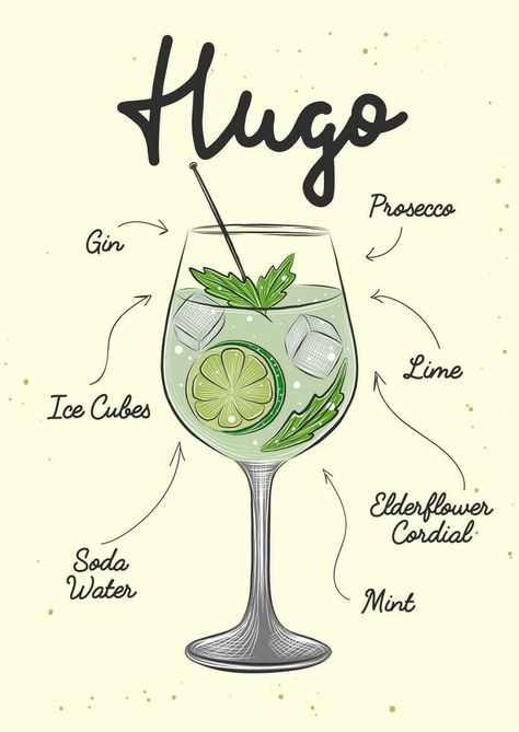 Hugo Drink, Hugo Cocktail, Cocktails Drawing, Sketch Menu, Drink Menu Design, Decoration Logo, Beverage Poster, Coctails Recipes, Cocktail Drinks Alcoholic