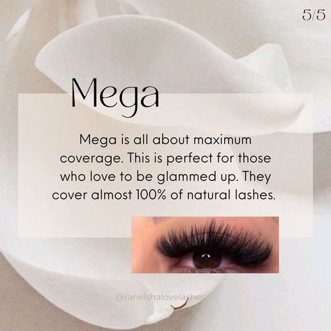 Eyelash Post Ideas, Lash Business Post Ideas, Lash Extensions Post Ideas, Eyelash Extension Post Ideas, Lash Extensions Policies, Lash Extensions Tips, Lash Extension Tips, Different Types Of Eyelash Extensions, Lash Tech Instagram Bio