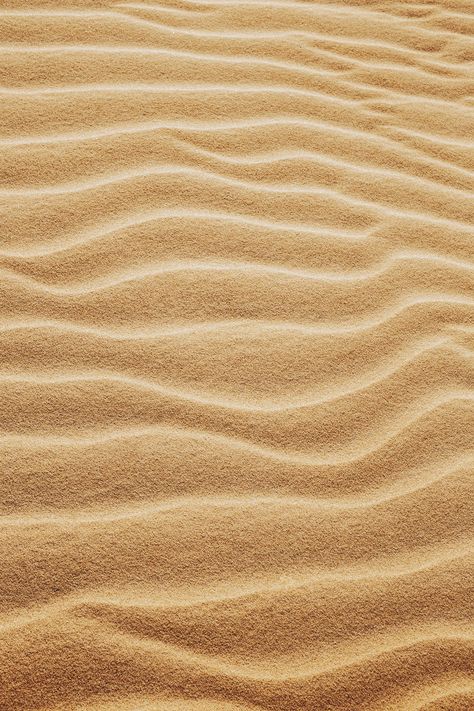 Fine sandy dunes in dry desert · Free Stock Photo Sand Pictures, Desert Sahara, Dry Desert, Free Background Images, Sand Textures, Focus Photography, Background Images Hd, Download Free Images, Sand Dunes