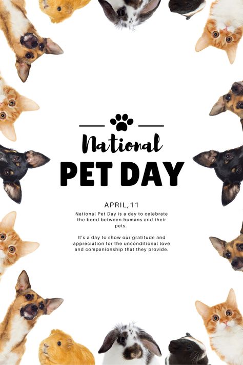 National Animal Day, Photography Flyers, Pet Advertising, National Pet Day, Dog Salon, National Puppy Day, Rottweiler Dog, Dog Poster, Pet Day