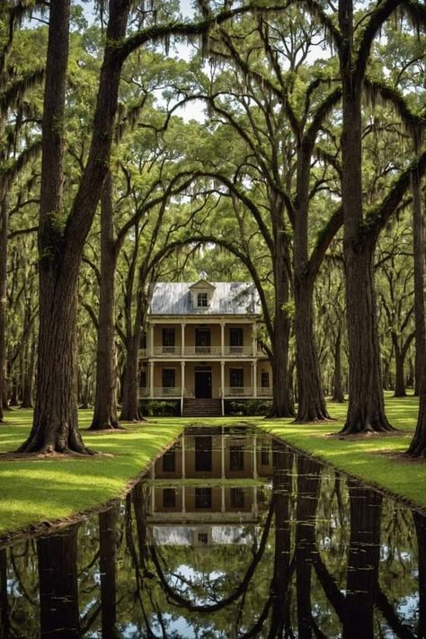 Louisiana Home Interior, Louisiana Gothic Aesthetic, The South Aesthetic, Louisiana Gothic, Louisiana Aesthetic, Louisiana Architecture, Old Southern Plantations, Louisiana House, Louisiana Photography