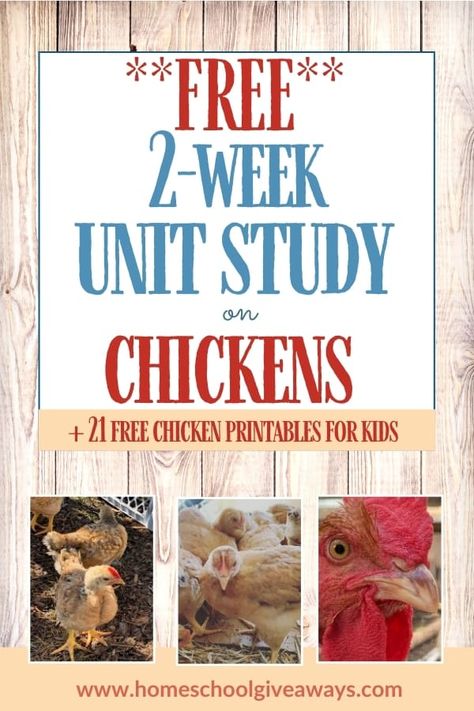 Farm Unit Study, Free Unit Study, Creativity Prompts, Chicken Life Cycle, Study Printables, Elementary Worksheets, Kindergarten Units, Unit Studies Homeschool, Education Tools