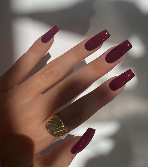 Wine Coffin Acrylic Nails, Short Square Nails Plain Colors, Wine Square Nails, Burgundy Nails Square Long, Deep Merlot Nails, Dark Red Tapered Square Nails, Wine Red Square Nails, Red Or Black Nails, Long Maroon Nails