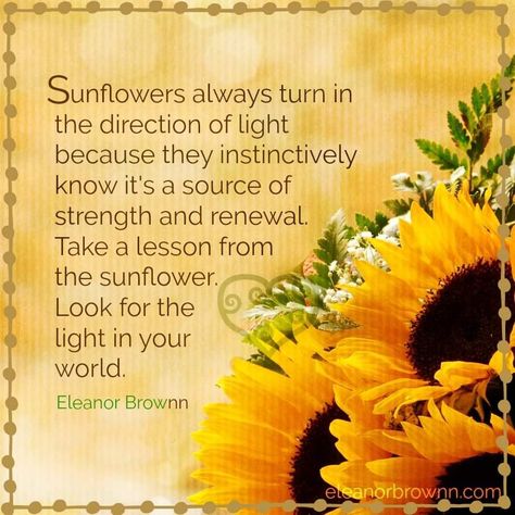 Meaning Of Sunflower, Sunflower Quotes, Sunflower Wall Art, Sunflower Pictures, Quotes Ideas, Flower Meanings, Sunflower Wallpaper, Sunflower Art, Flower Quotes