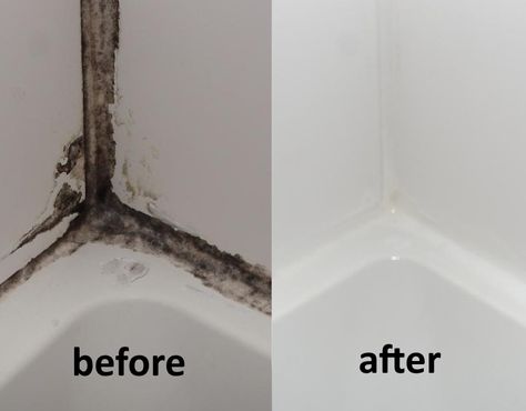 Cleaning Shower Mold, Cleaning Floor Grout, Remove Mold From Shower, Clean Black Mold, Bathtub Caulking, Bathroom Caulk, Shower Mold, Shower Grout, Mold In Bathroom