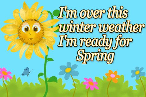 ready for spring picture - Google Search Ready For Spring Quotes, Flower Definitions, Spring Season Flowers, Quotes Spring, Spring Vocabulary, Spring Funny, Titus 2, Spring Ahead, Happy Signs