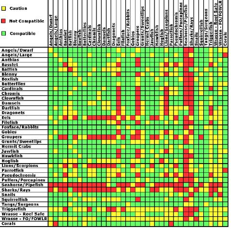 This Saltwater Aquarium Fish Compatibility Chart will give you a good idea of which fish can be placed in a saltwater aquarium and be expected to get along, Saltwater Aquarium Fish, Coral Reef Aquarium, Saltwater Fish Tanks, Marine Tank, Salt Water Fishing, Salt Water Fish, Saltwater Fish, Saltwater Tank, Home Aquarium