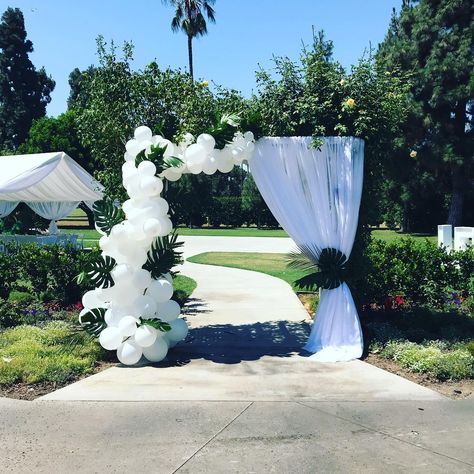 Beautiful Entrance, Easy Backdrops, Balloon Backdrop, Entrance Decor, Outdoor Events, Balloon Garland, Tropical Leaves, Balloon Decorations, Event Decor