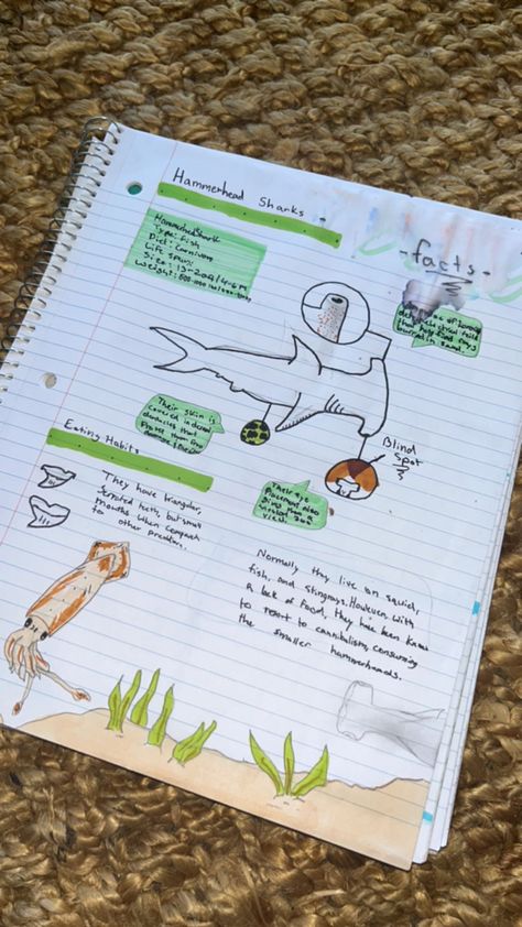 Animal Notes Aesthetic, Marine Biology Notes Turtle, Marine Science Notes, Marine Biology Notes Sharks, Marine Biology College, Marine Biology Student Aesthetic, Marine Biology Book, Marine Biology Journal Pages, Marie Biology