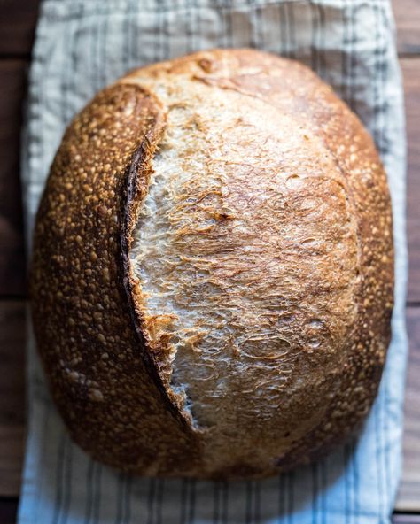 A recipe for a naturally leavened sourdough bread using hour-old fresh milled flour. The taste is incredibly delicious. Wheat Berry Bread Recipe, Wheat Berry Recipes, Fresh Milled Flour, Sourdough Breads, Easy Sourdough Bread Recipe, The Perfect Loaf, Wheat Bread Recipe, Homemade Sourdough Bread, Artisan Bread Recipes