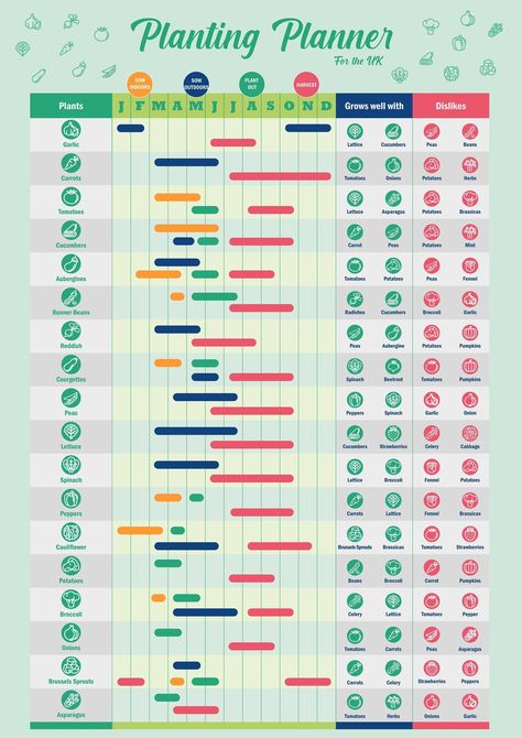 Planting Planner Poster - Etsy Homestead Garden Layout, Planting Calendar, Posters Uk, Plants Uk, Plant Journal, Garden Calendar, Gantt Chart, Garden Planner, Wall Planner