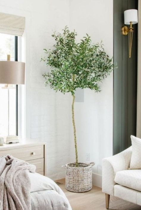 Plants For Home Decor, Artificial Olive Tree, Second Floor Landing, Room Revamp, Tree Stem, Faux Olive Tree, Artificial Plants And Trees, Leather Accent Chair, Primary Bedroom