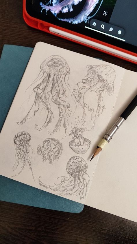 pencil sketches of jellyfishes Tattoo Artists Sketch Book, Jellyfish Sketchbook Pages, Sketchbook Jellyfish, Sketchbook Pages Doodles, Jellyfish Sketchbook, Book Art Drawing Sketchbook Pages, Cool Sketchbook Pages, Jellyfish Sketch, Sketchbook Pages Inspiration