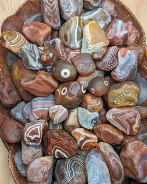 2024 Michigan Rock Hounding Guide: Petoskey Stones, Agates, Yooperlites, & More Michigan Rocks Hunting, Pebble Projects, Michigan Aesthetic, Rock Tumbler Diy, Petosky Stone, Lake Michigan Stones, Michigan Rocks, Rock Identification, Rock Collecting