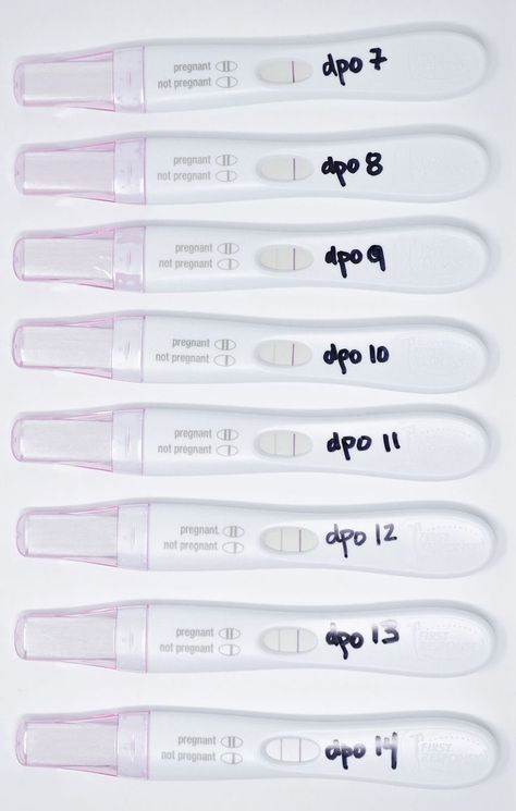 When you're waiting for a positive pregnancy test time seems to stand still. Maybe you're experiencing early signs of pregnancy, but you just have to know for sure. Here we explain the best way to ensure you get a positive pregnancy test and help you determine whether or not your test is accurate. Faint Positive Pregnancy Test, Early Pregnancy Test, Pregnancy Test Results, Negative Pregnancy Test, Early Pregnancy Signs, Pregnancy Info, Happy Pregnancy, Positive Pregnancy Test, Pregnancy Hormones