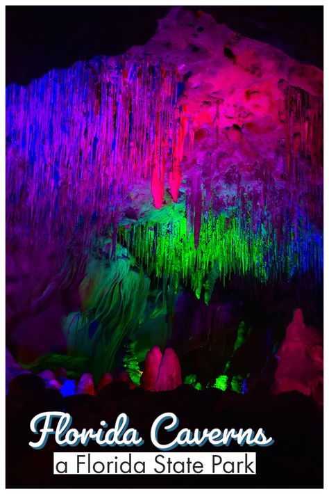 Florida Caverns State Park | OurLittleLifestyle Florida Caverns, Florida Caverns State Park, Florida Travel Destinations, Florida Travel Guide, Civilian Conservation Corps, Florida Panhandle, Florida Life, Florida State Parks, North Florida