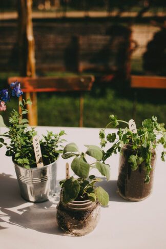 Low Waste Sustainable Wedding Ideas: use home grown herbs in upcycled glass jars and tins as table decor, and favors!  https://www.confettidaydreams.com/eco-friendly-zero-waste-wedding-guide/  #wedding #zerowastewedding #ecofriendlywedding #veganwedding #sustainablewedding #greenwedding #lowwastewedding #ethicalwedding #weddingideas Sustainable Wedding Ideas, Zero Waste Wedding, Wedding Favor Table, Eco Wedding, Sustainable Wedding, Eco Friendly Wedding, Succulent Wedding, Wedding Rentals, Wedding Guide