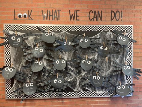 Spider Halloween Bulletin Board, Halloween Prek Bulletin Board, Spider Bulletin Board, 3k Activities, Bulletin Board Halloween, Insects Kindergarten, Bullentin Boards, Halloween Bulletin Boards, Preschool Bulletin