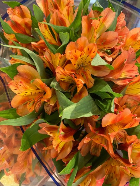 Orange Bouquet Aesthetic, Orange Tiger Lily Bouquet, Orange Lily Wedding Bouquet, Tiger Lily Wedding Bouquet, Lillies Drawings, Tiger Lily Aesthetic, Orange Lily Bouquet, White Lily Flower Bouquet, Flower Vintage Aesthetic