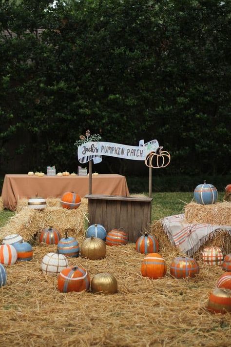 18 Pumpkin Decorating Party Ideas - Lady Celebrations Fall One Year Birthday Party Boy, First Harvest Birthday, Patch Birthday Party, Pumpkin Decorating Party, Pumpkin Patch Birthday Party, Pumpkin Patch Kids, Fall Displays, Pumpkin Patch Birthday, Fall First Birthday