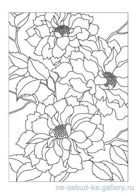 Free Printable Winnie the Pooh Coloring Sheets,#Coloring #Coloring book #AdultColoring #ChildrenColoring Free Printable Winnie The Pooh, Printable Winnie The Pooh, Fleurs Art Nouveau, Glass Painting Patterns, Fabric Painting Techniques, Fabric Painting On Clothes, Glass Painting Designs, Flower Drawing Design, Floral Drawing