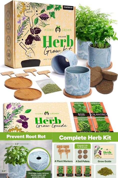 Discover the HOME GROWN Deluxe 8 Herb Garden Kit, the perfect unique Mother's Day gift for women who love gardening. This complete kit is ideal for moms, friends, and new homeowners, offering a delightful way to grow fresh herbs right in the kitchen. Enhance their culinary creations and add a touch of green to their home with this thoughtful and practical present. Perfect for both novice and experienced gardeners. Growing Basil, Herb Garden Kit, Indoor Herb, Garden Kit, Unique Housewarming Gifts, Indoor Herb Garden, Unique Mothers Day Gifts, Herb Pots, Home Grown