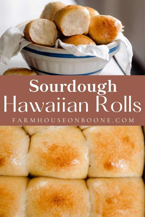 Sourdough Hawaiian rolls are a soft, fluffy, and sweet roll with the delicious pineapple flavor and classic sourdough tang. These make the best dinner rolls or use them to make mini sandwiches. #farmhouseonboone #sourdough #sourdoughhawaiianolls Easiest Bread Recipe Ever, Recipe Using Sourdough Starter, Sourdough Rolls, Sourdough Starter Discard Recipe, Homemade Sourdough Bread, Bread Starter, Sourdough Starter Recipe, Sourdough Baking, Sourdough Bread Recipe