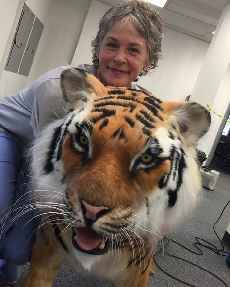 The Walking Dead on Instagram: “Several shots of Shiva were accomplished with an animatronic tiger created by my make up Fx company @knb_efx.  I felt it important for the…” The Walking Dead Cast, Carol Twd, Walking Dead Characters, Carol Peletier, Daryl And Carol, Twd Funny, Twd Memes, Walking Dead Tv Series, Walking Dead Zombies