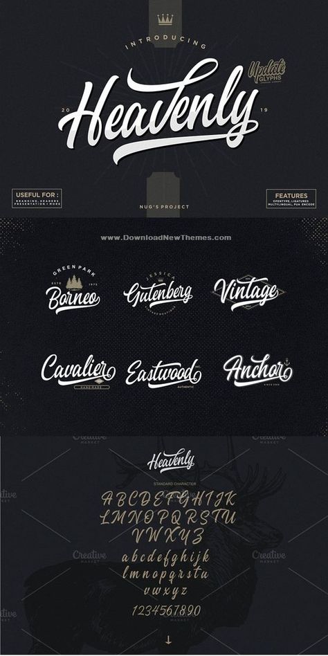 The Heavenly is a striking script font which brings lots of personality to your designs. It includes flowing characters which are ideal for creating an attractive message. It can be used for posters, branding, advertising, and much more! #fonts #typography #calligraphy #graphics #typeface #scriptfont Typography Logo Fonts, Brush Lettering Tutorial, Tattoo Script Fonts, Design Alphabet, Brush Script Fonts, Typography Calligraphy, Fonts Typography, Font Inspiration, Lettering Styles