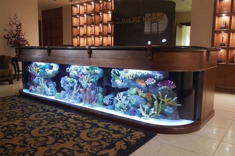 Hours of Entertainment for Dru is listed (or ranked) 6 on the list 31 Incredibly Creative Aquariums You Need to See Dnevni Boravak, Wall Aquarium, Amazing Aquariums, Cool Fish Tanks, Aquarium Terrarium, Salt Water Fish, Home Aquarium, Cool Fish, Saltwater Tank