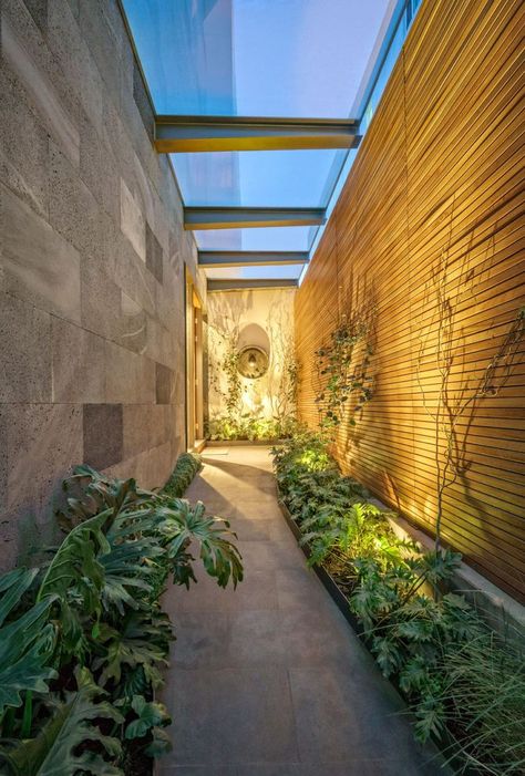 Wonderful House Designed by Lopez Duplan Arquitectos#garden #contemporary Houses In Mexico, Green House Design, Outdoor Walkway, Pathway Landscaping, Covered Walkway, Garden Walkway, Pergola With Roof, Side Garden, Patio Roof